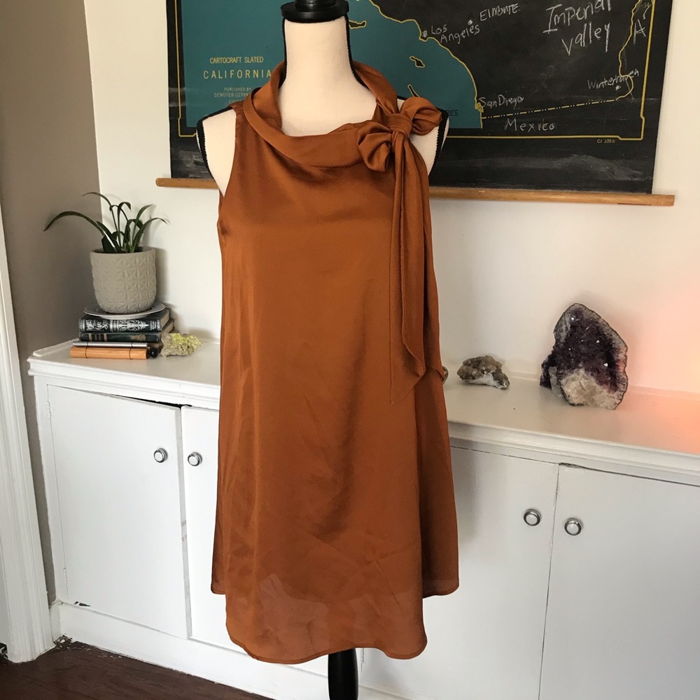 NWT signature by Robbie Bee | trapeze dress 6P